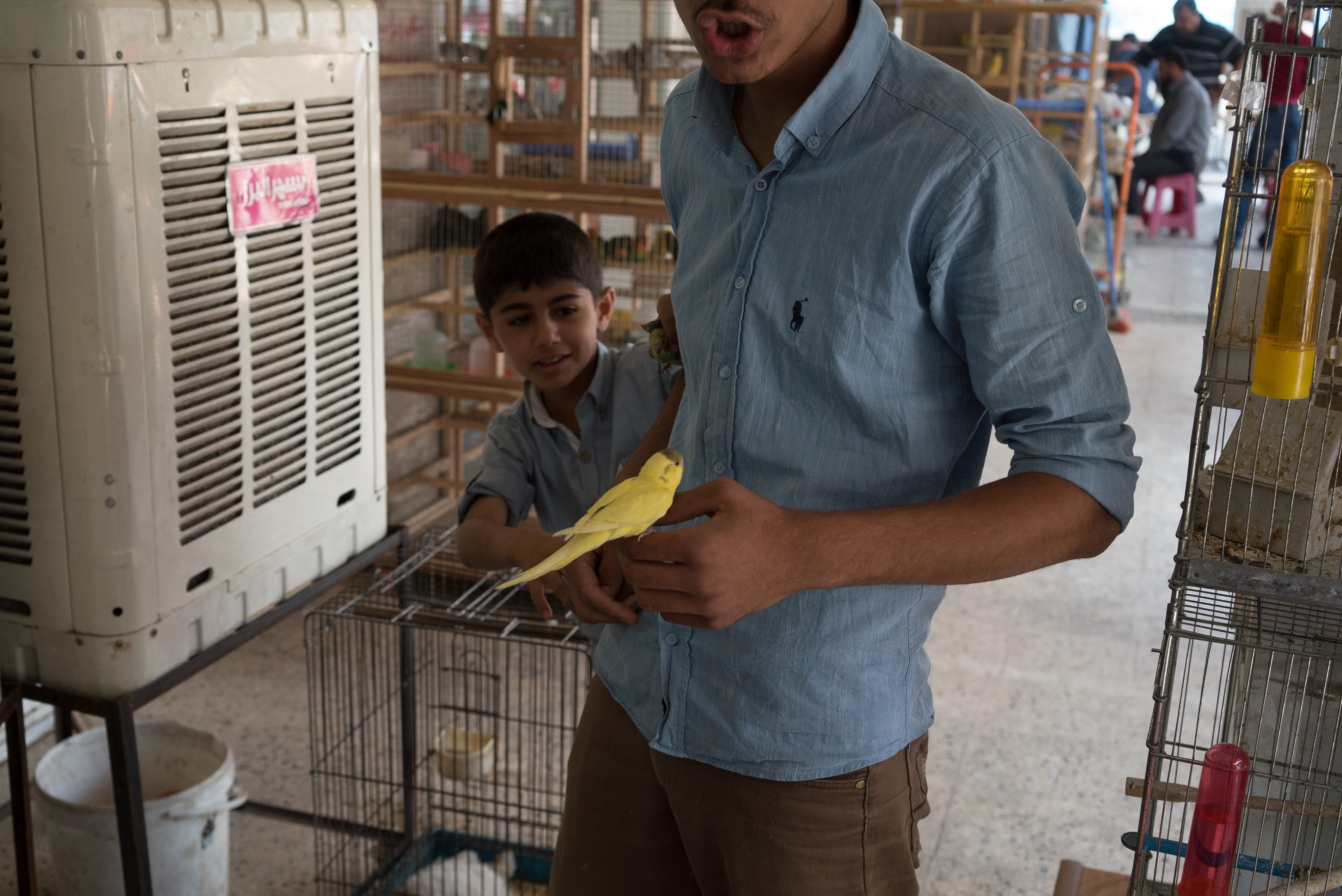 Erbil market for birds and animals, Erbil, Kurdistan Region, June 4, 2016. (Photo: Kurdistan24/Alexandre Afonso)